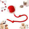 š®š° Global Top3 Essential⢠- Pet Toys Pack Including 3 Essential Pet Toys