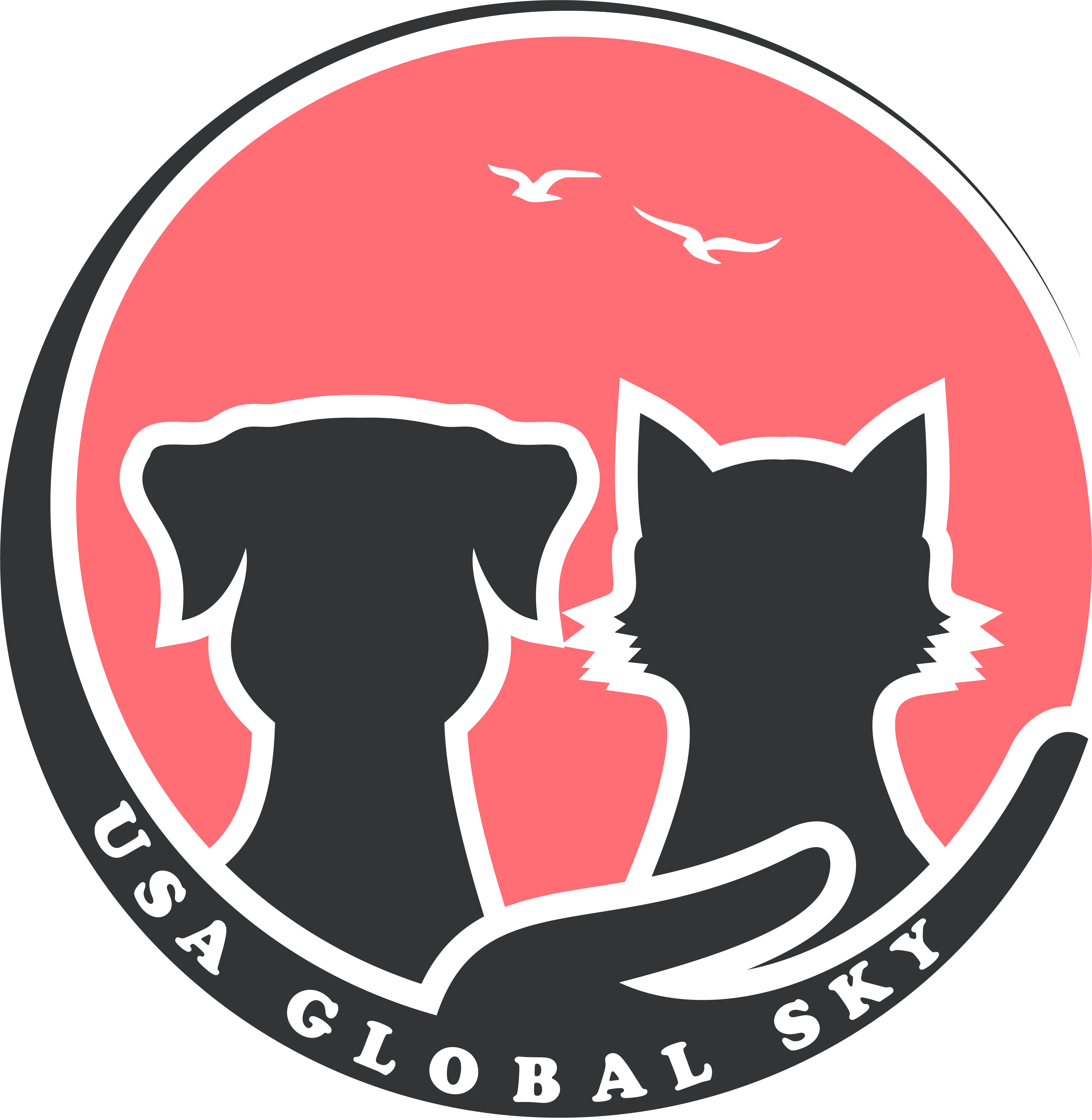 USA Global Sky